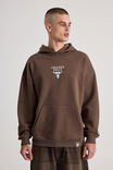 LCN NBA CEDAR/CHICAGO BULLS ICON