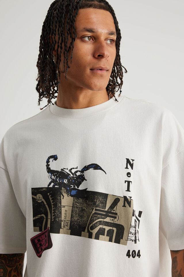 Notion Vintage Graphic Tshirt, NTN PUMICE/DISJOINTED SYSTEM