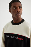 Panelled Nba Crew, LCN NBA WINTER WHITE/BLACK Y2K BULLS - alternate image 4