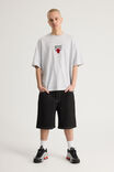 Box Fit Nba T Shirt, LCN NBA SILVER MARLE/CHICAGO BULLS SUPERSCRIP - alternate image 2