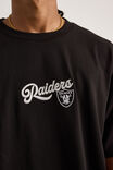 Heavyweight Box Fit Nfl Tshirt, LCN NFL BLACK/RAIDERS SIMPLE - alternate image 4