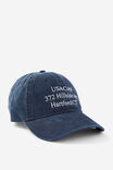 Usa Corp Dad Cap, WASHED BLUE - alternate image 1