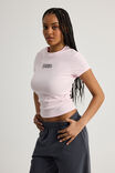 POWDER PINK/NY STUDIOS