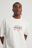 Box Fit Nba T Shirt, LCN NBA CLOUD/CHICAGO BULLS LAYERED - alternate image 4