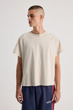 Boxy Cropped Raglan Tshirt, FOG - alternate image 1