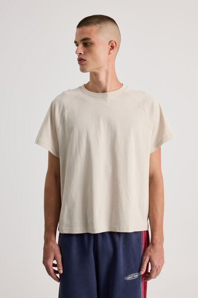 Boxy Cropped Raglan Tshirt, FOG