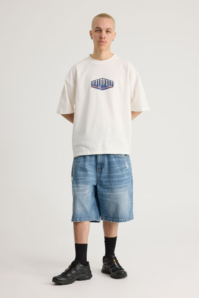Half Half Heavyweight Box Fit Graphic Tshirt, HH CLOUD/HALF HALF CHROME