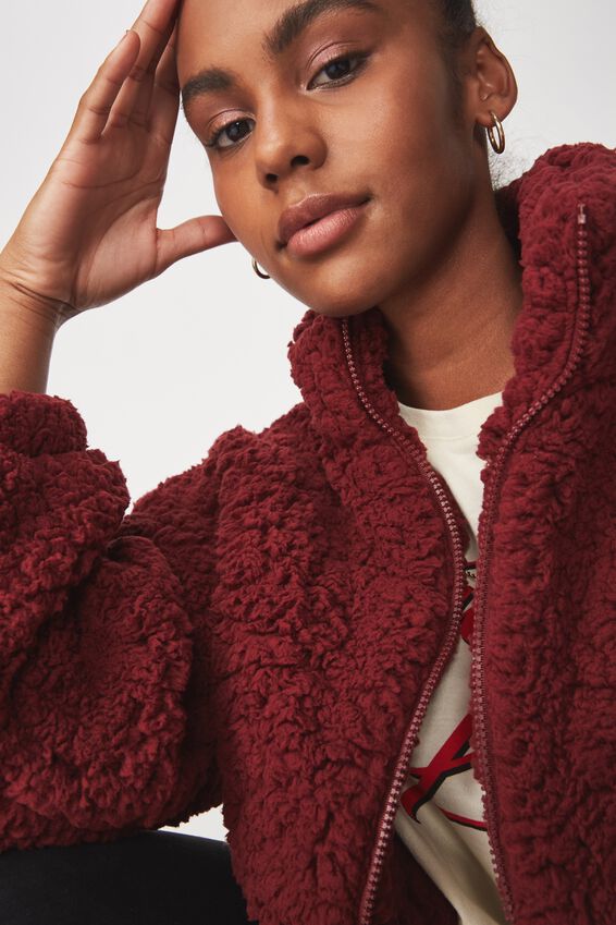Teddy Bomber, WINE