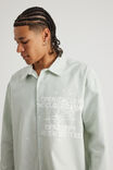 Open Gallery Boxy Cropped Long Sleeve Shirt, OG PALE GREEN STRIPE / GRAPHIC - alternate image 4