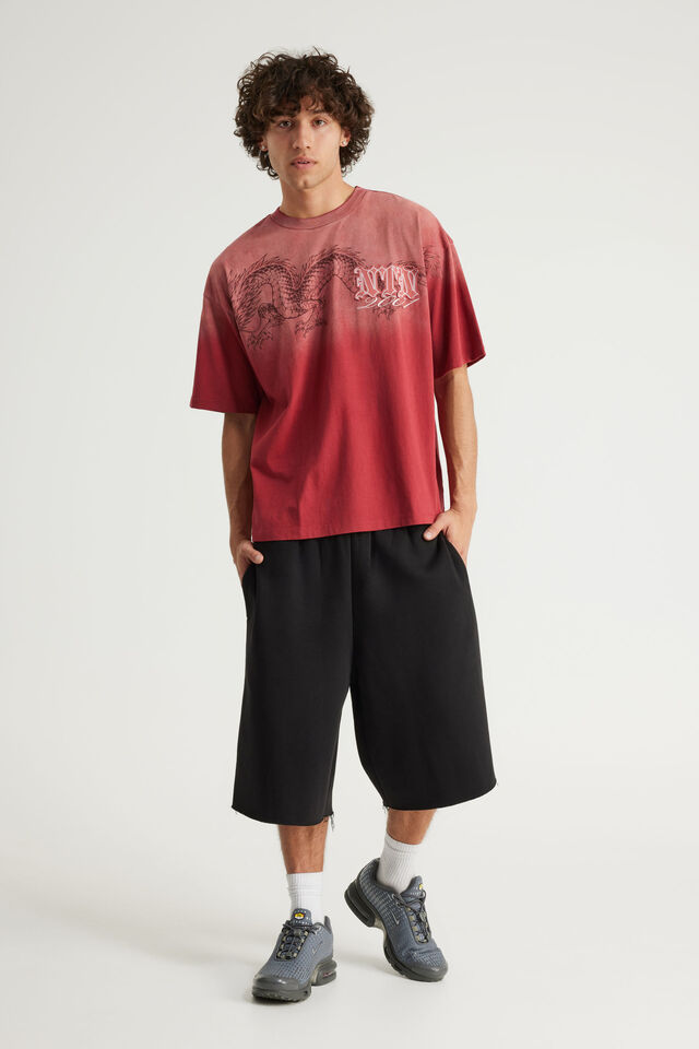Notion Vintage Graphic Tshirt, NTN WASHED TUSCAN RED/SYMMETRICAL DRAGONS