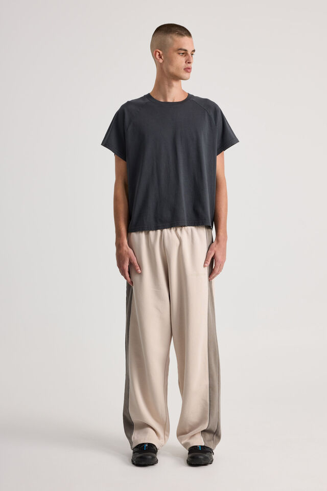Boxy Cropped Raglan Tshirt, WASHED SLATE