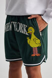 Sesame Street X Half Half Basketball Short, LCN SES IVY GREEN/SESAME STREET BIG BIRD - alternate image 4