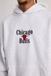 Nba Hoodie, LCN NBA SILVER MARLE/CHICAGO BULLS - alternate image 4