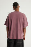Notion Vintage Graphic Tshirt, NTN WASHED BORDEAUX/MULTI - example image 3