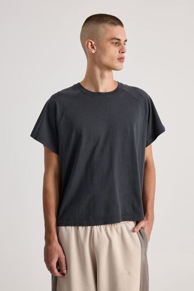 Boxy Cropped Raglan Tshirt, WASHED SLATE