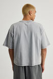 Notion Boxy Cropped Heavyweight Tshirt, NTN WASHED CONCRETE/FREQUENCY SHIFT - alternate image 3