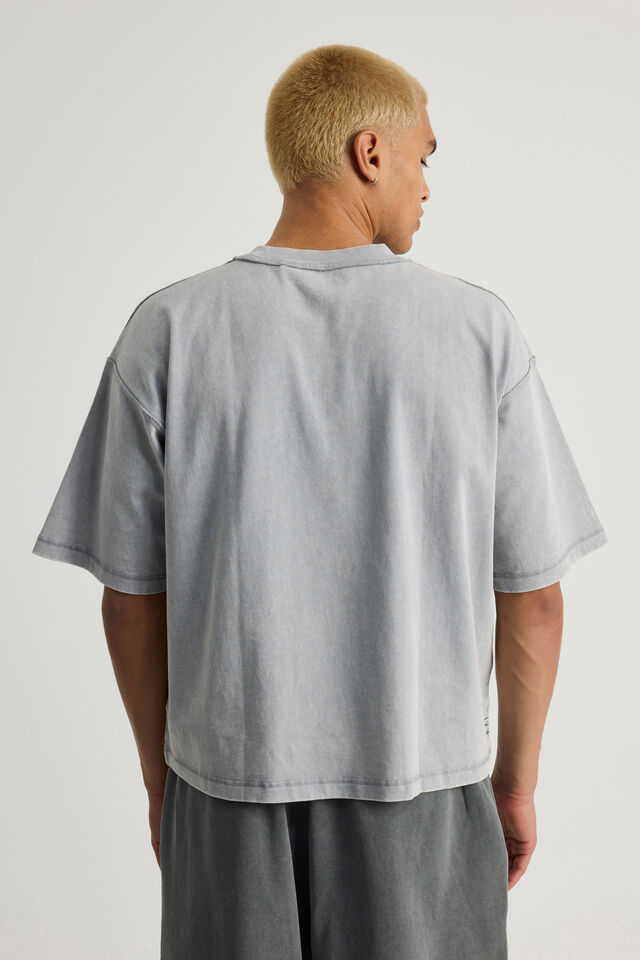 Notion Boxy Cropped Heavyweight Tshirt, NTN WASHED CONCRETE/FREQUENCY SHIFT