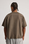 Boxy Cropped Tshirt, WASHED CEDAR - alternate image 3