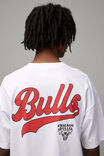 Oversized Nba T Shirt, LCN NBA WHITE/CHICAGO BULLS BASEBALL SCRIPT - alternate image 4