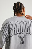 Box Fit Nba T Shirt, LCN NBA STEEL MARLE/CHICAGO BULLS CLASSIC - alternate image 5