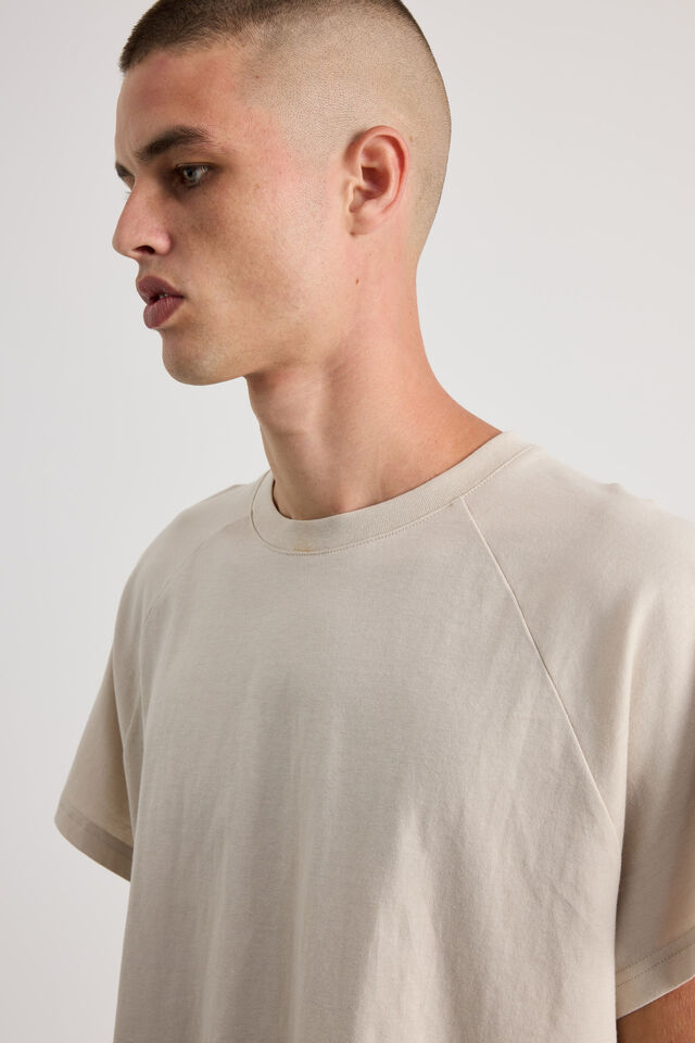 Boxy Cropped Raglan Tshirt, FOG
