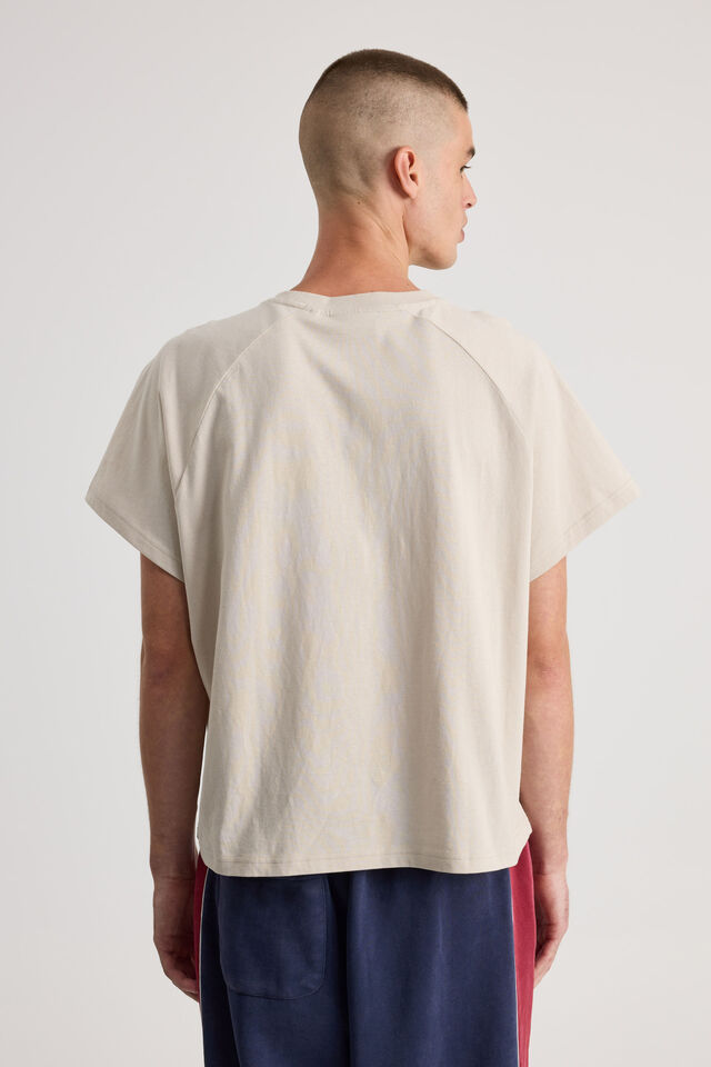 Boxy Cropped Raglan Tshirt, FOG