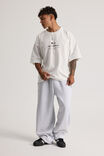 Open Gallery Vintage Heavyweight Cropped Tshirt, OG CLOUD/INTERCONTINENTAL AESTHETICS - alternate image 4