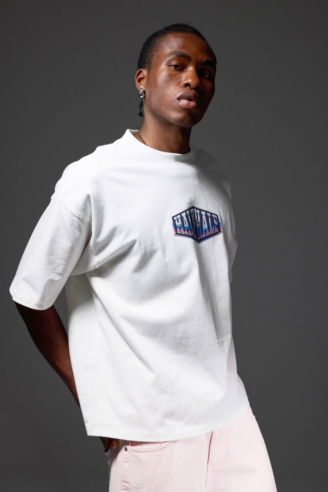 Half Half Heavyweight Box Fit Graphic Tshirt, HH CLOUD/HALF HALF CHROME