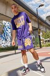 NBA Phoenix Suns Oversized T Shirt, LCN NBA PURPLE/SUNS STRAIGHT