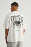Box Fit Nba T Shirt, LCN NBA CLOUD/BULLS WORLDWIDE - alternate image 1