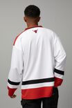 Long Sleeve V Neck Jersey, LCN NBA WHITE/CHICAGO BULLS - alternate image 3