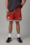 Nfl Basketball Short, LCN NFL RED CLAY CLASSIC/SAN FRANCISCO 49ERS - alternate image 2